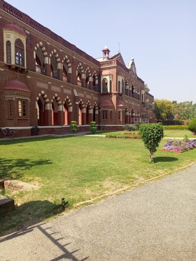 Student Life at AIIMS Delhi